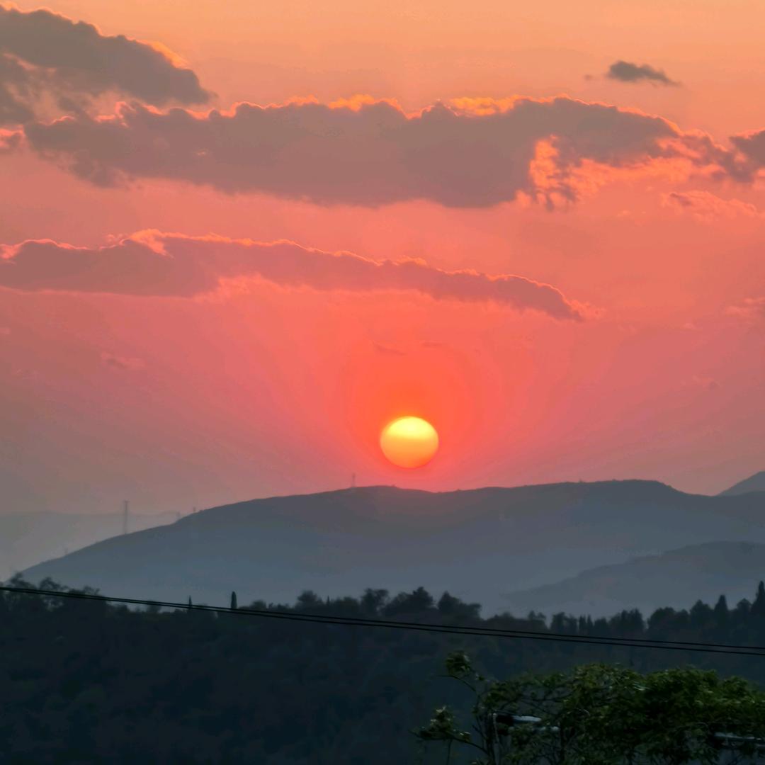 云南志愿填报指导