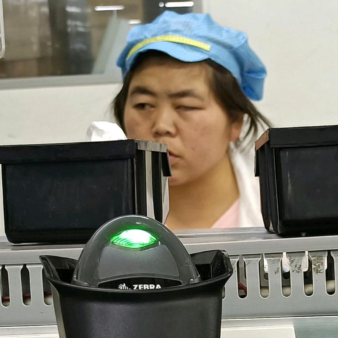 一刀龙