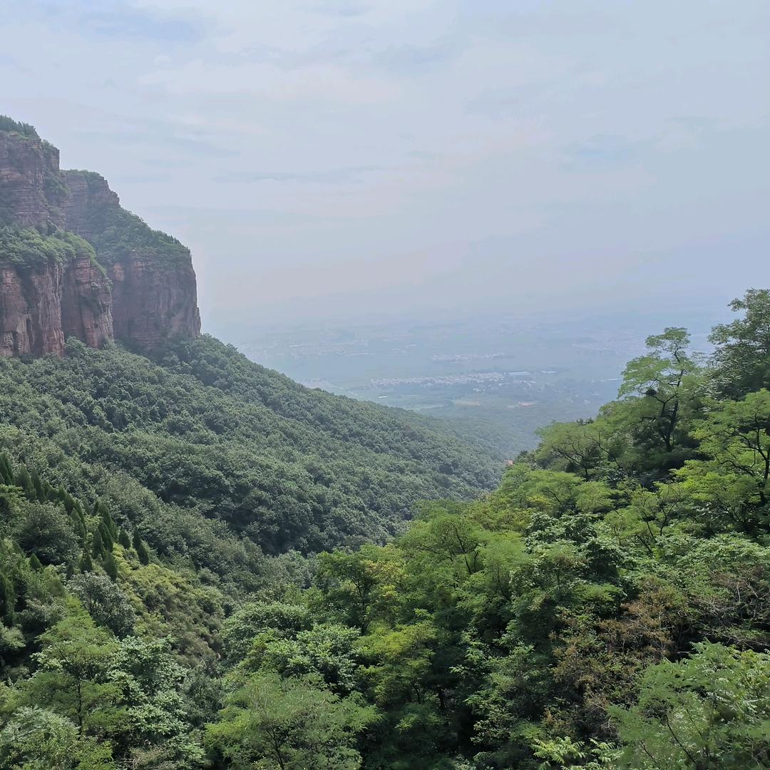 家有三宝🐭🐯🐷