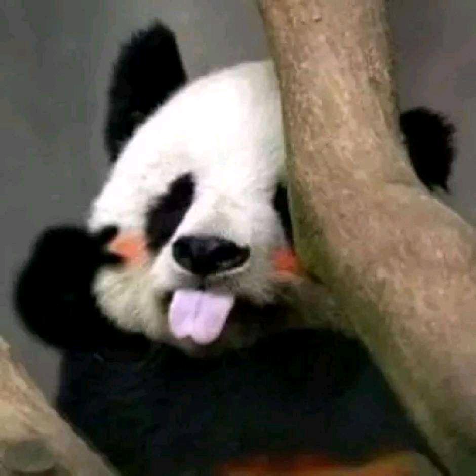 我心如火