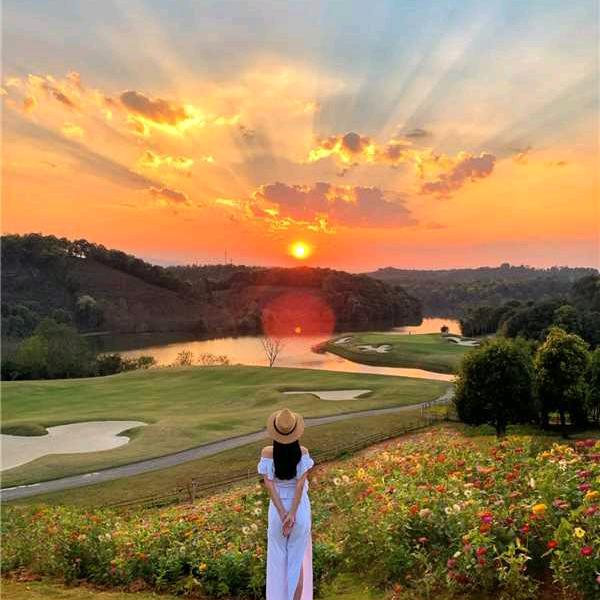 淡似🌻春风🍃