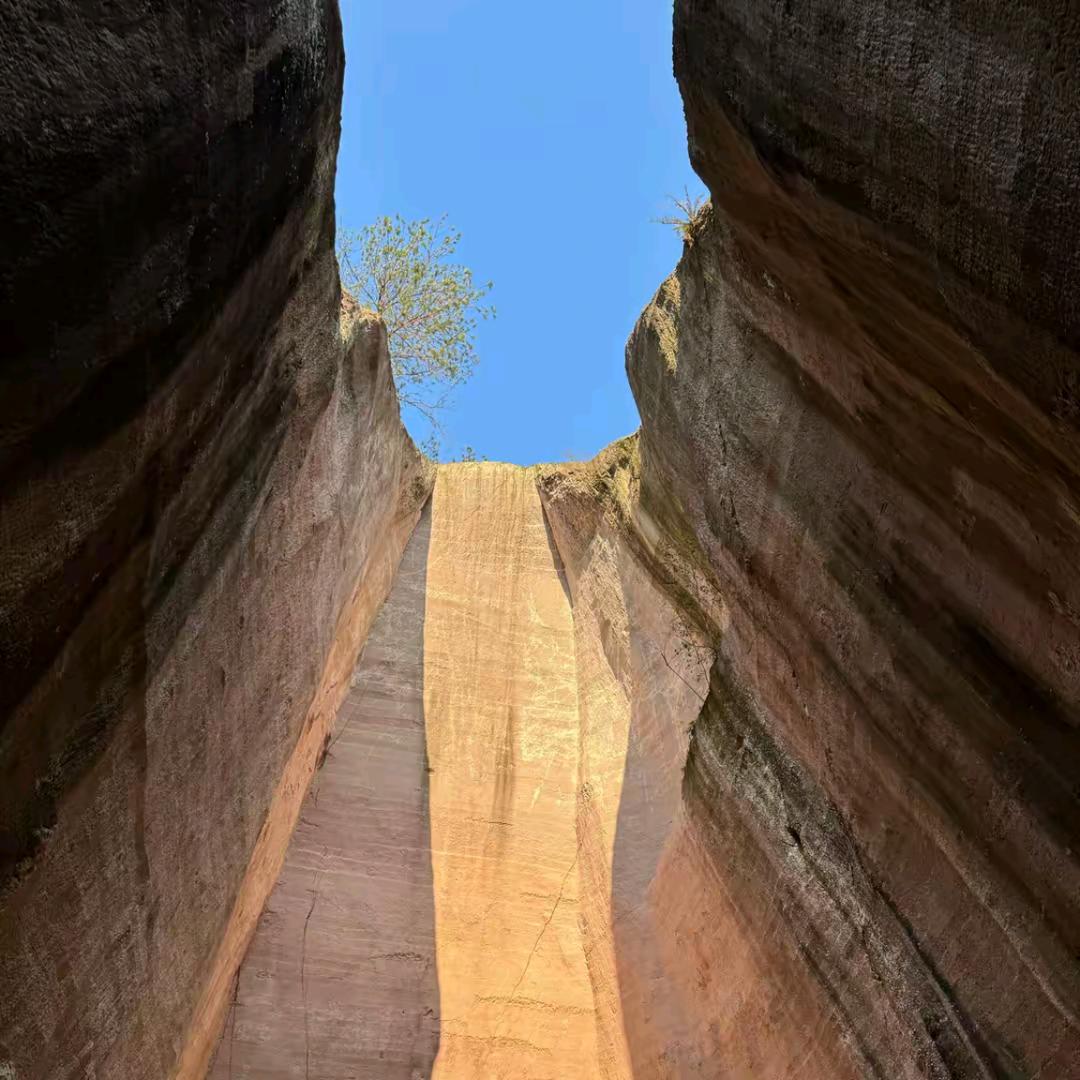 学弟好物推荐官