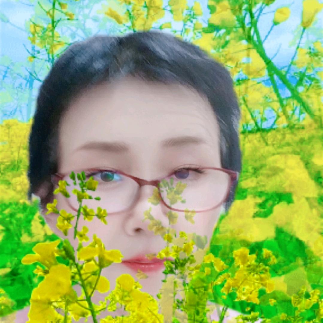 鲍姐上午9十分开播
