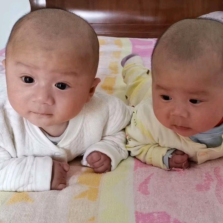 @龙凤胎哥哥妹妹