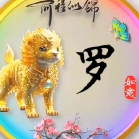 小罗