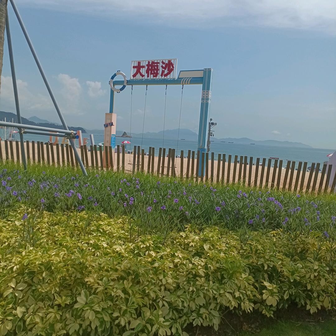 明天更好