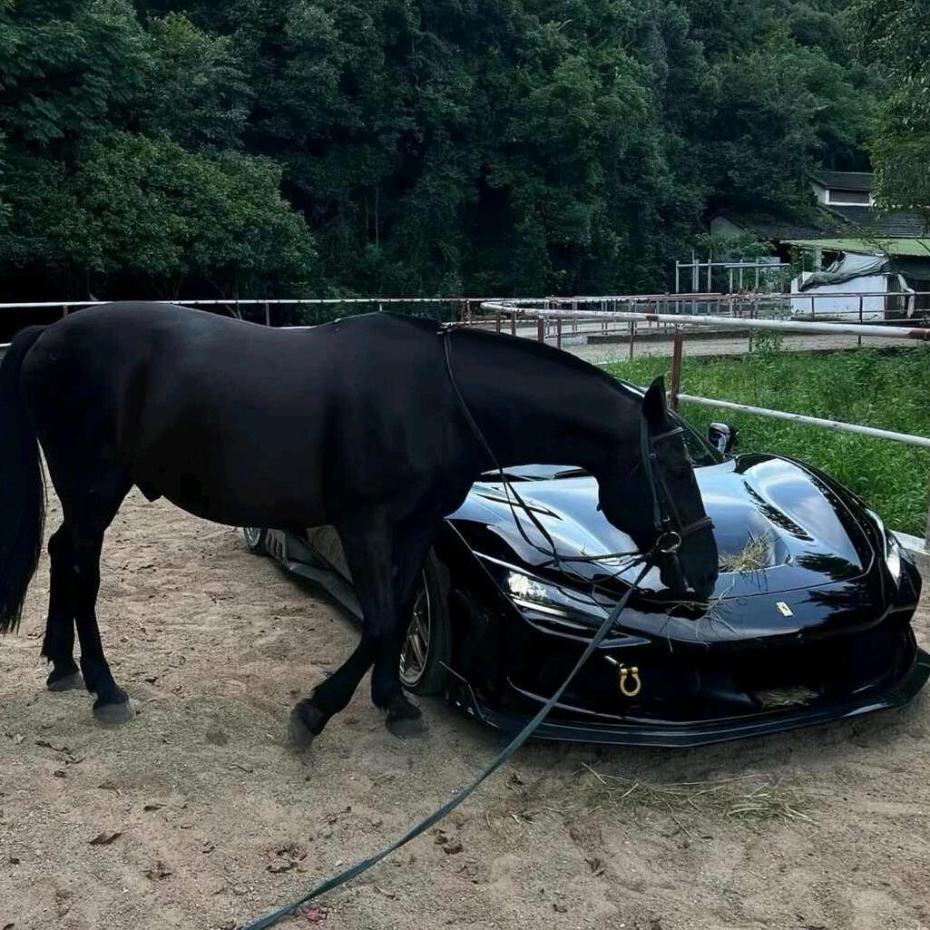 道上都叫我三弟