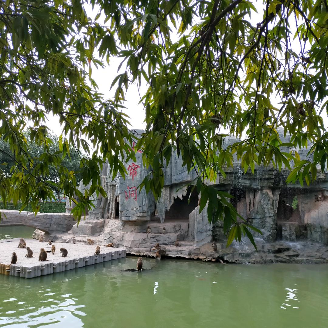 助人为乐