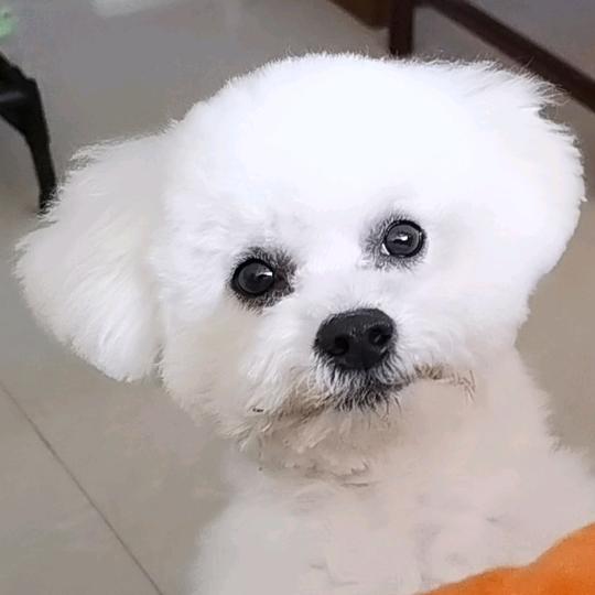 若水，