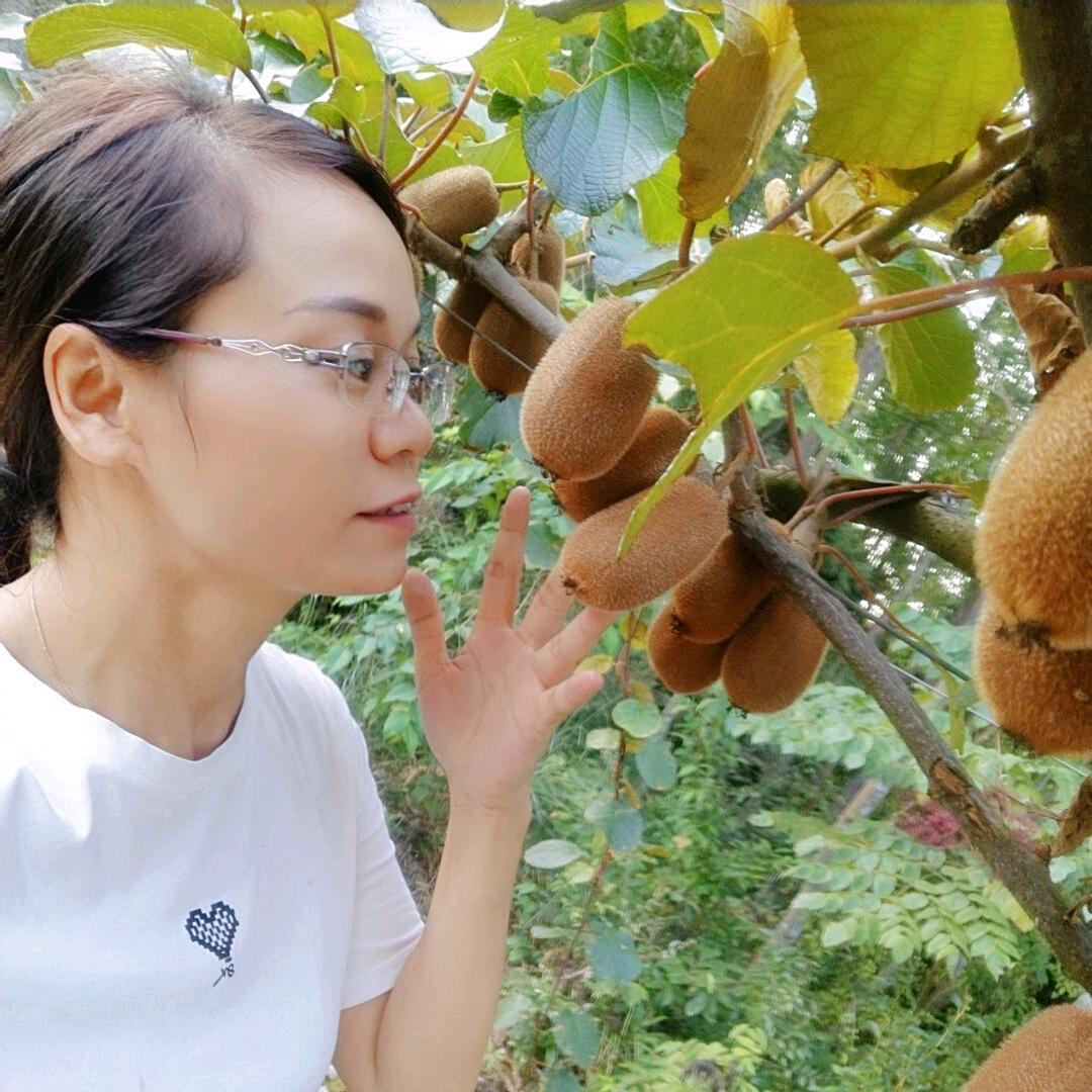 绥阳猕猴桃