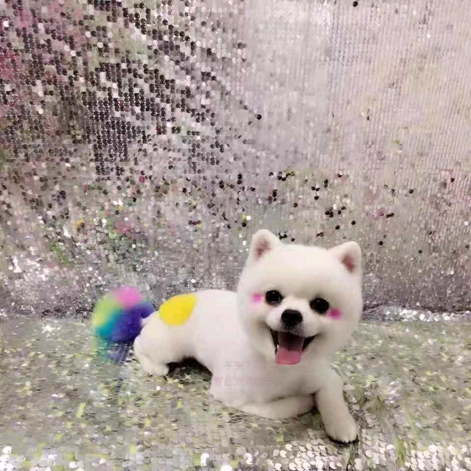 一个小虎牙丶