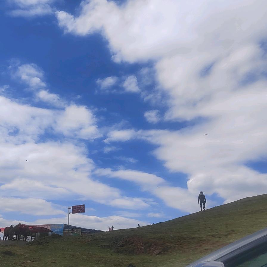 花未全开月未圆