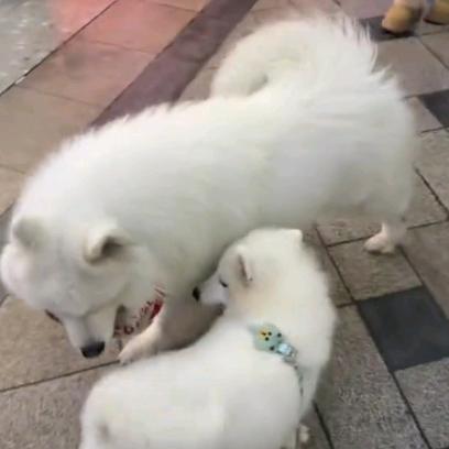 @👸若曦养殖🦐🦀🦞耶耶叫多多仔仔