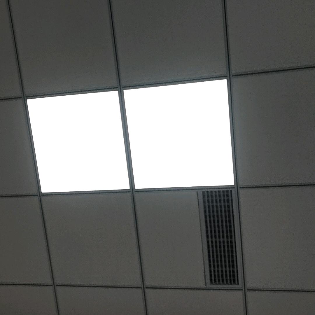 助手海外直播间