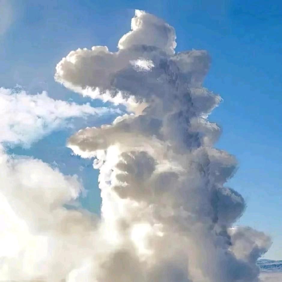 🔥 🦖
