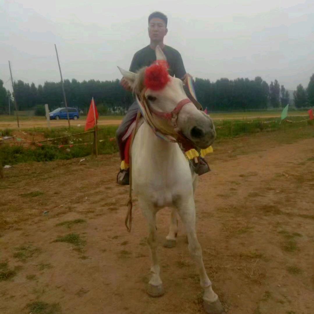 战神殿扛霸子