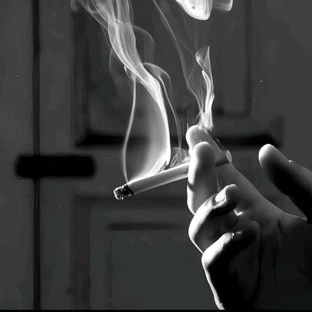 😁🎣永不空军🎣