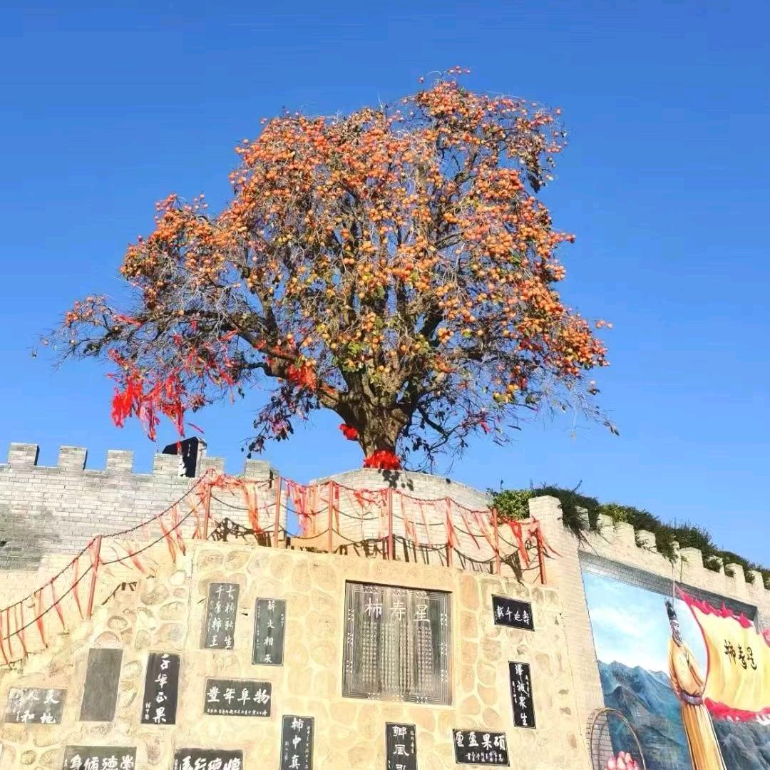 富平达冠精选农产品