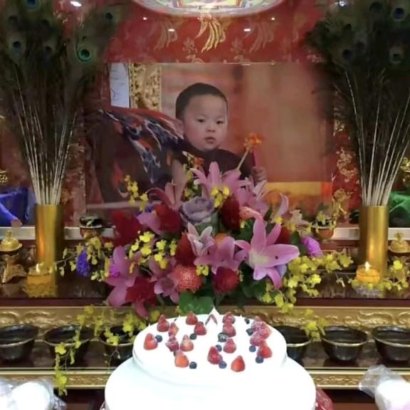 🌱康巴次仁🌴