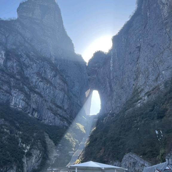 灰鲸ᴳʷ