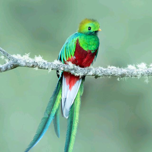 银川市金凤区顶牛纯汤牛肉拉面森林半岛店