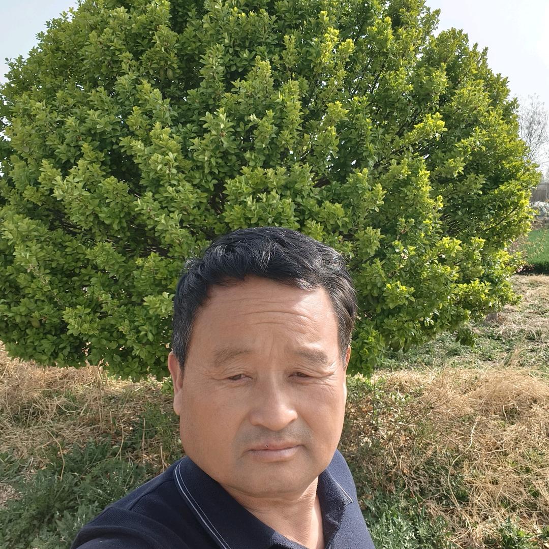 秋收谷物种植合作社
