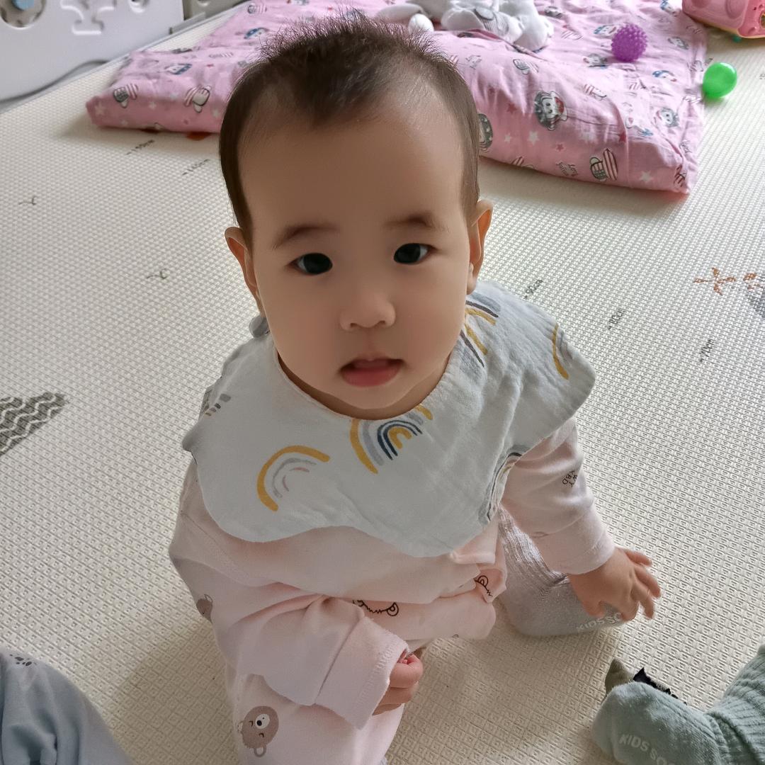 毛毛虫2128742
