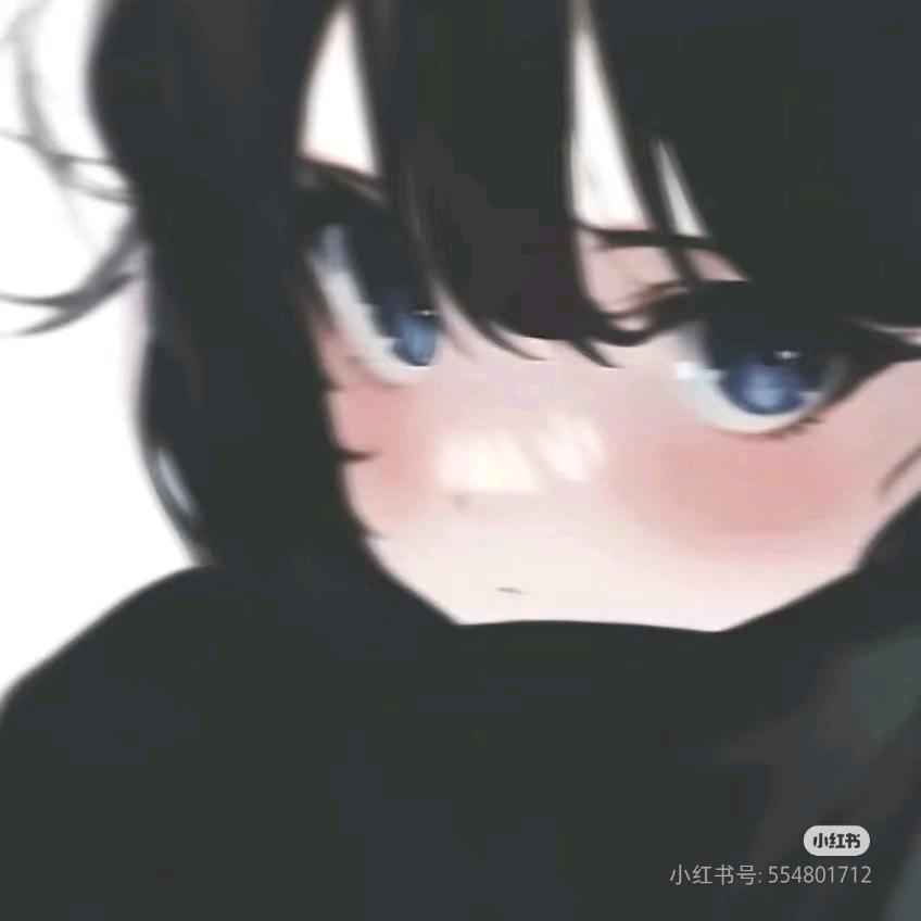小侪宝