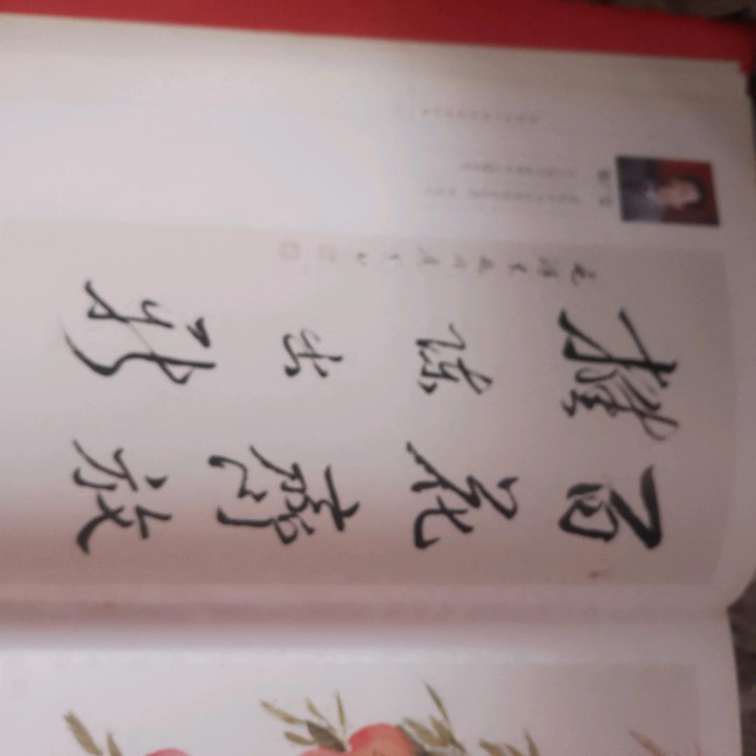 墨羽晨曦
