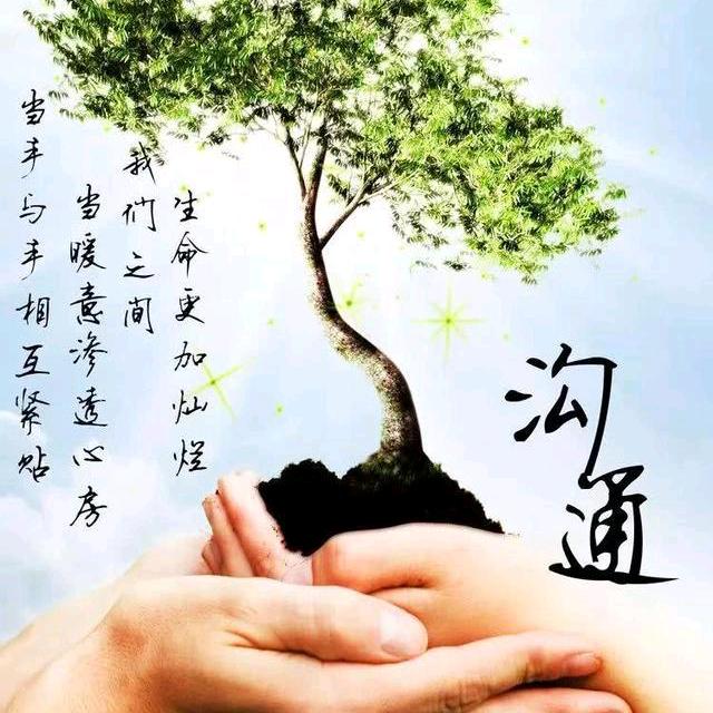 真实给了贼