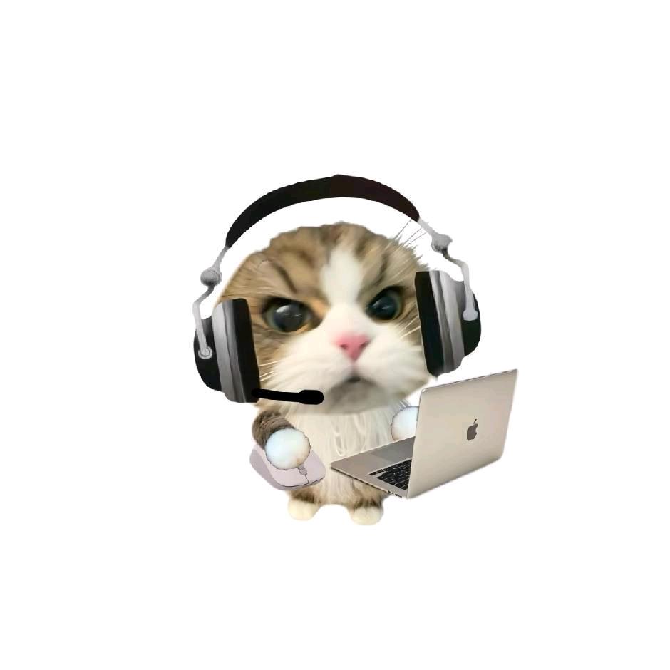 十六