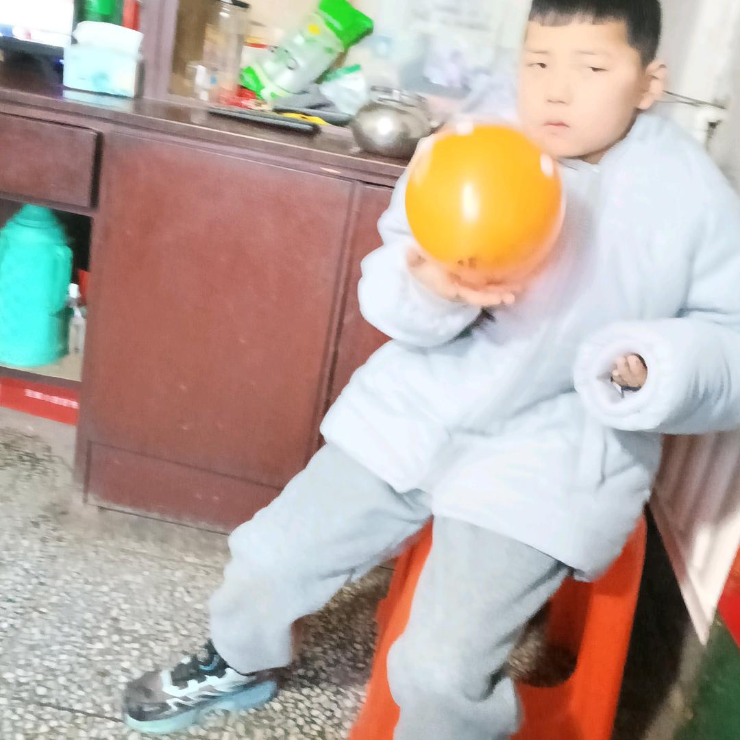 贺女士2025
