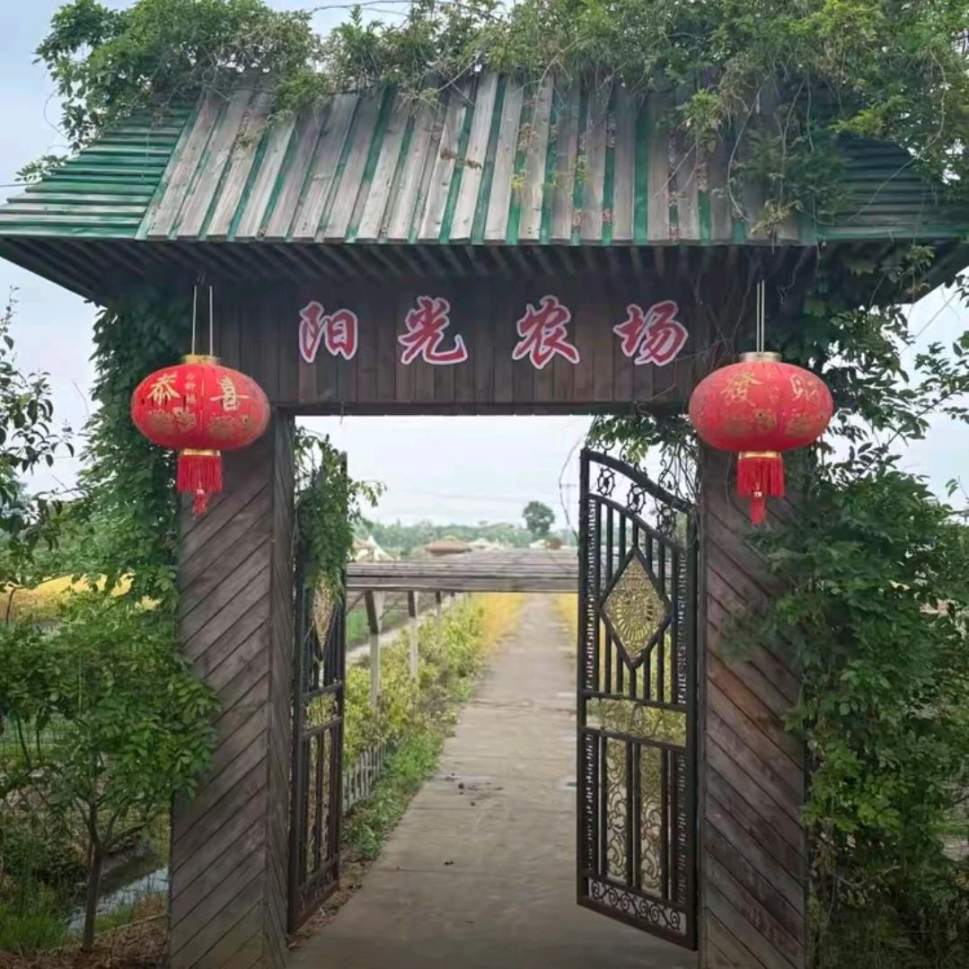 建湖阳光农场顾永凤