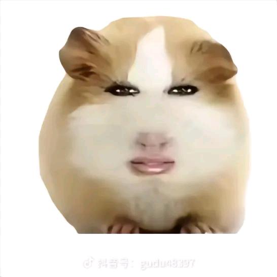黑历史