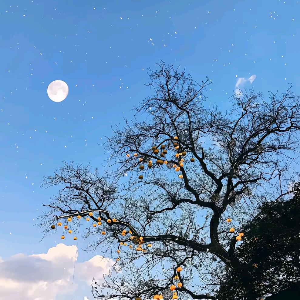 小米啄食