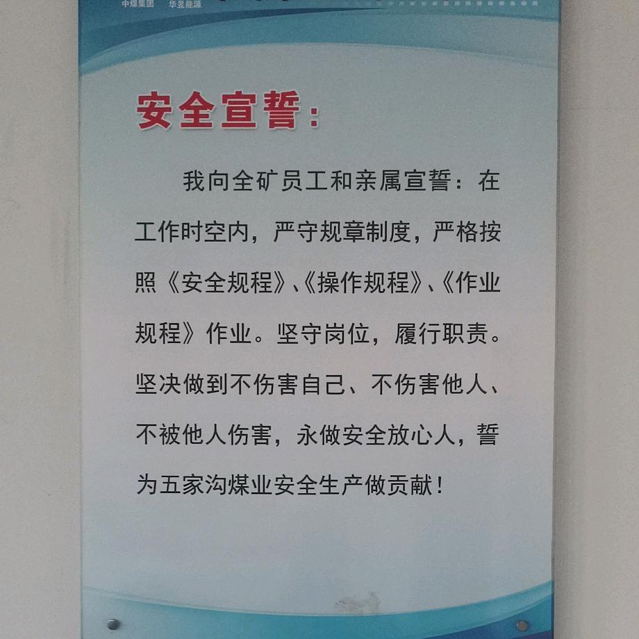 佳佳号号