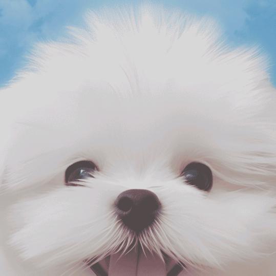 林
