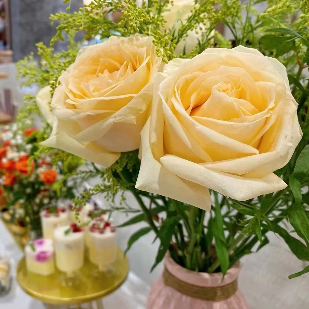 小罗同学为你找房