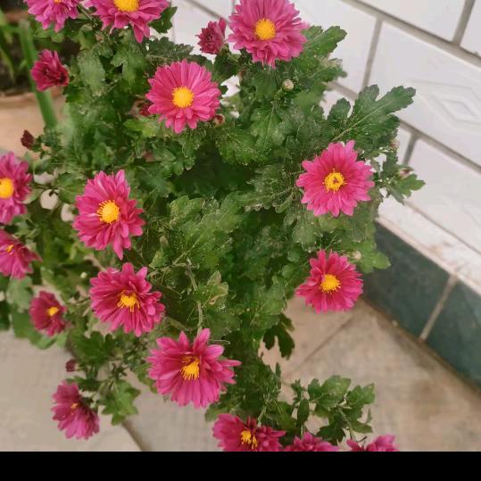 美好幸福永远在一起