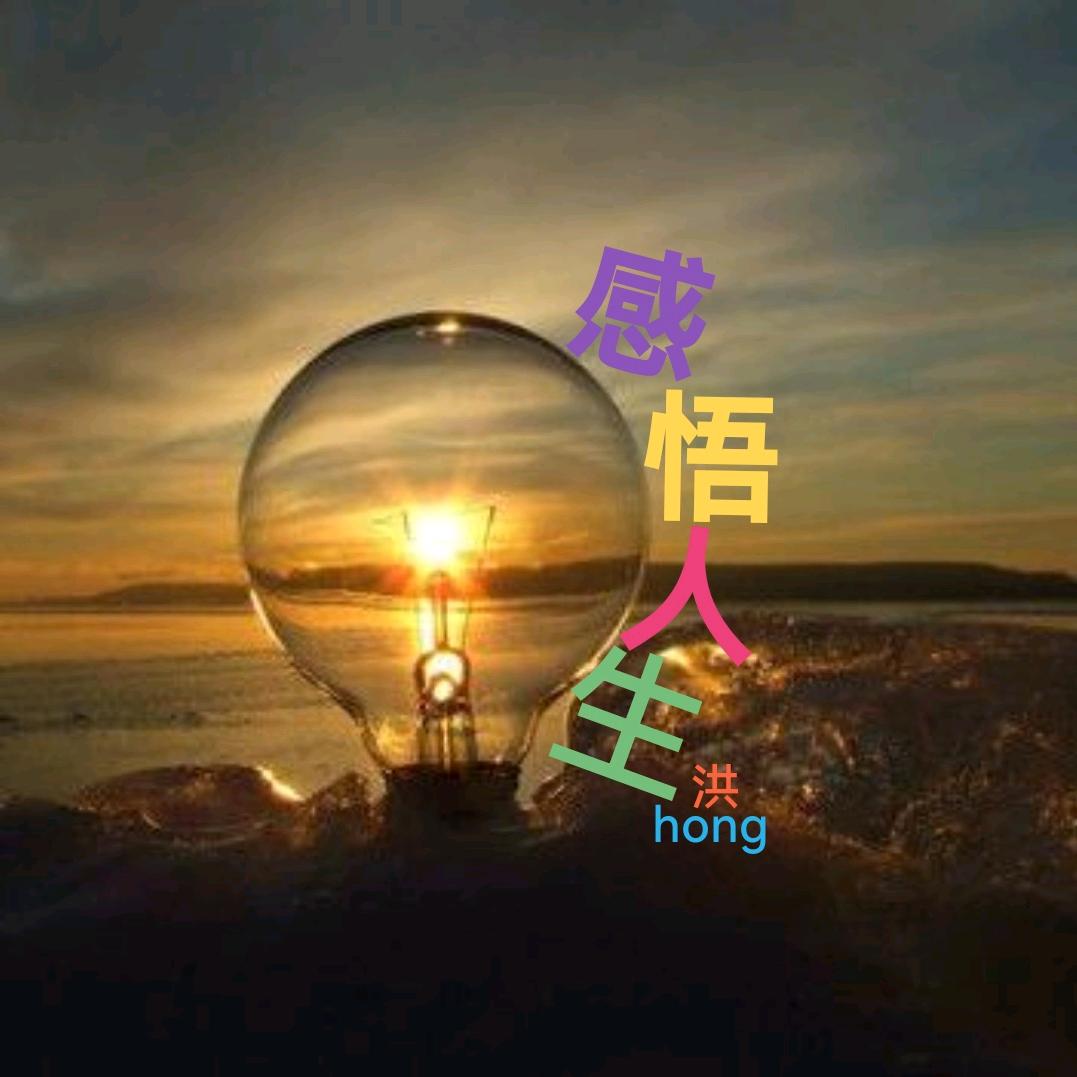 洪哥