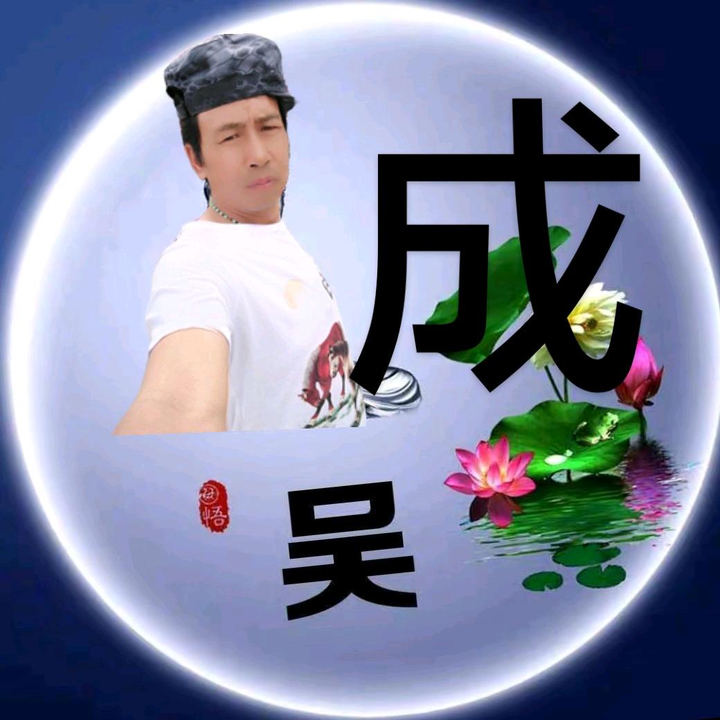 成哥❤️累了谁来疼