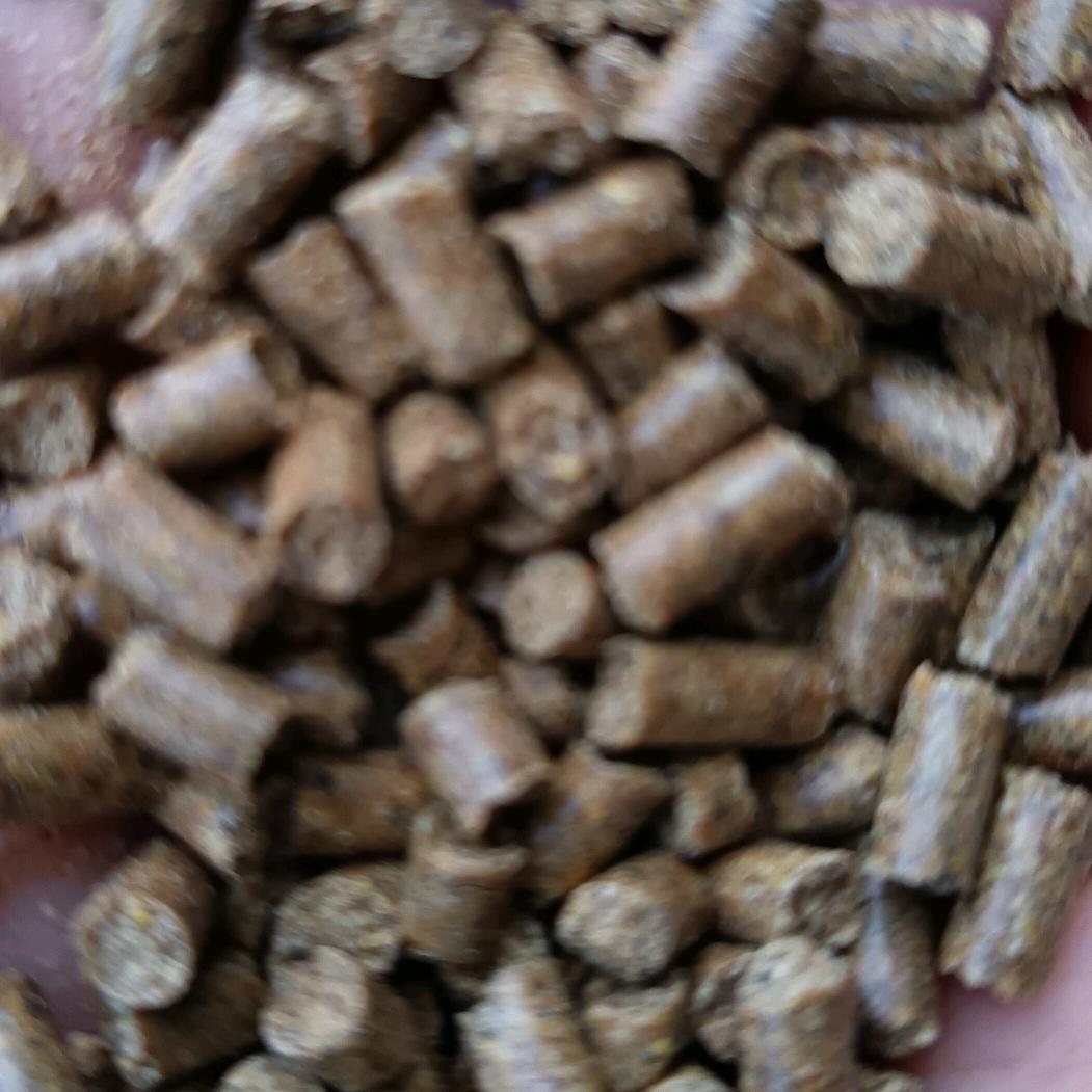 黄河鱼料代工
