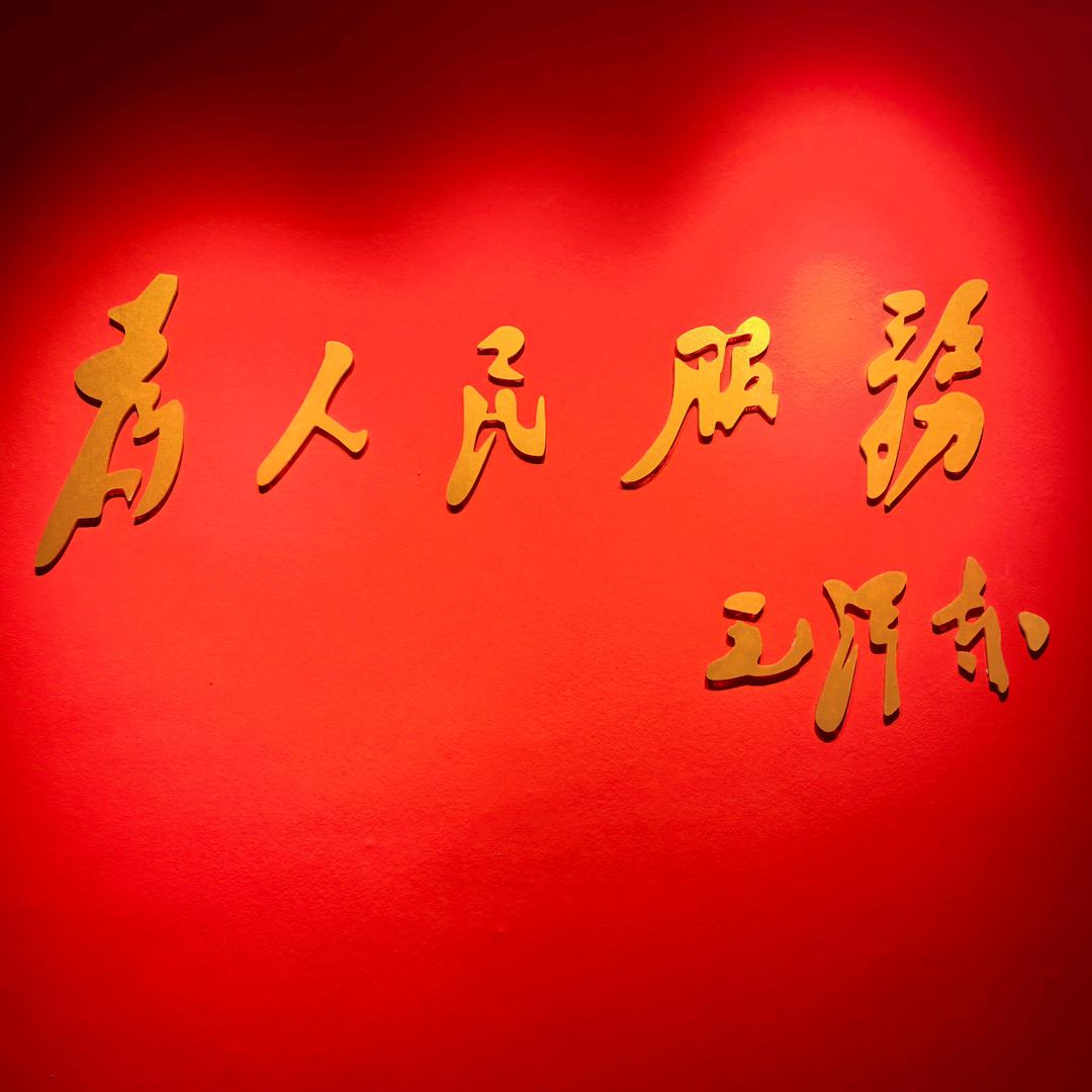 会飞的鱼 🐟