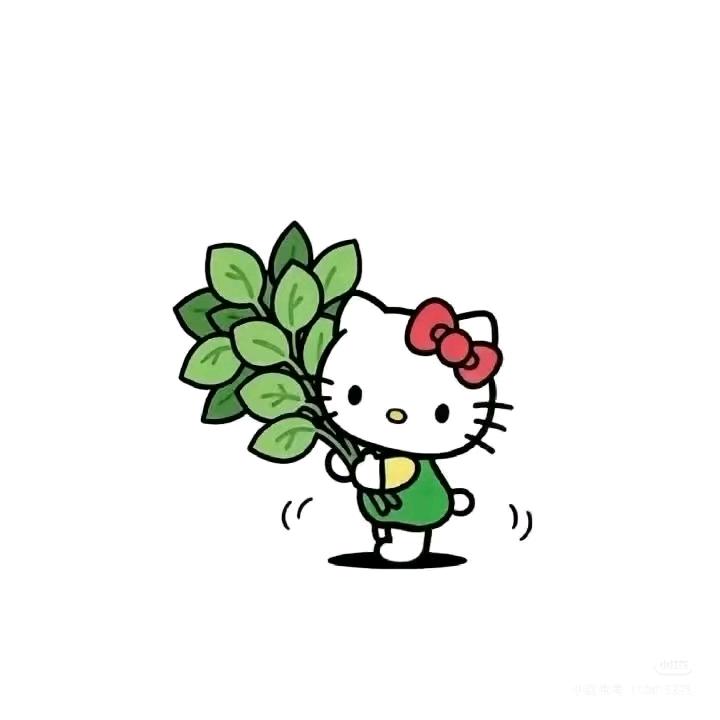 小陈爱拍照（约拍版🎥）