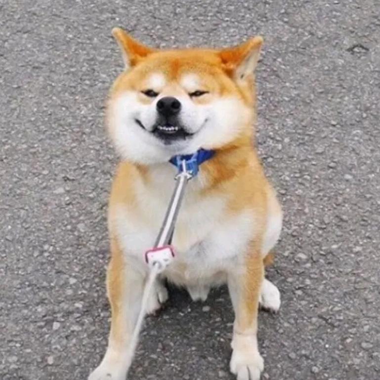 托尼小彭在郑州