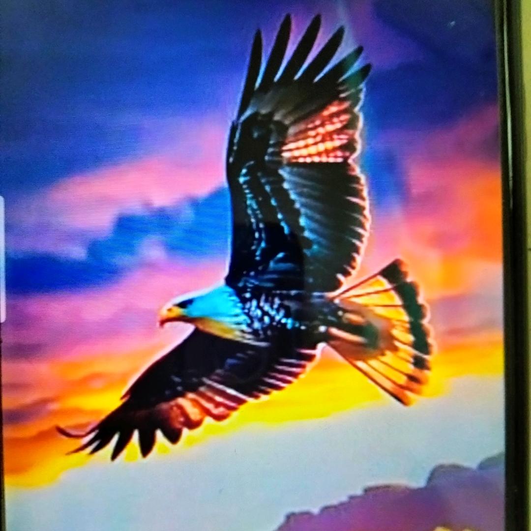 鹰翔