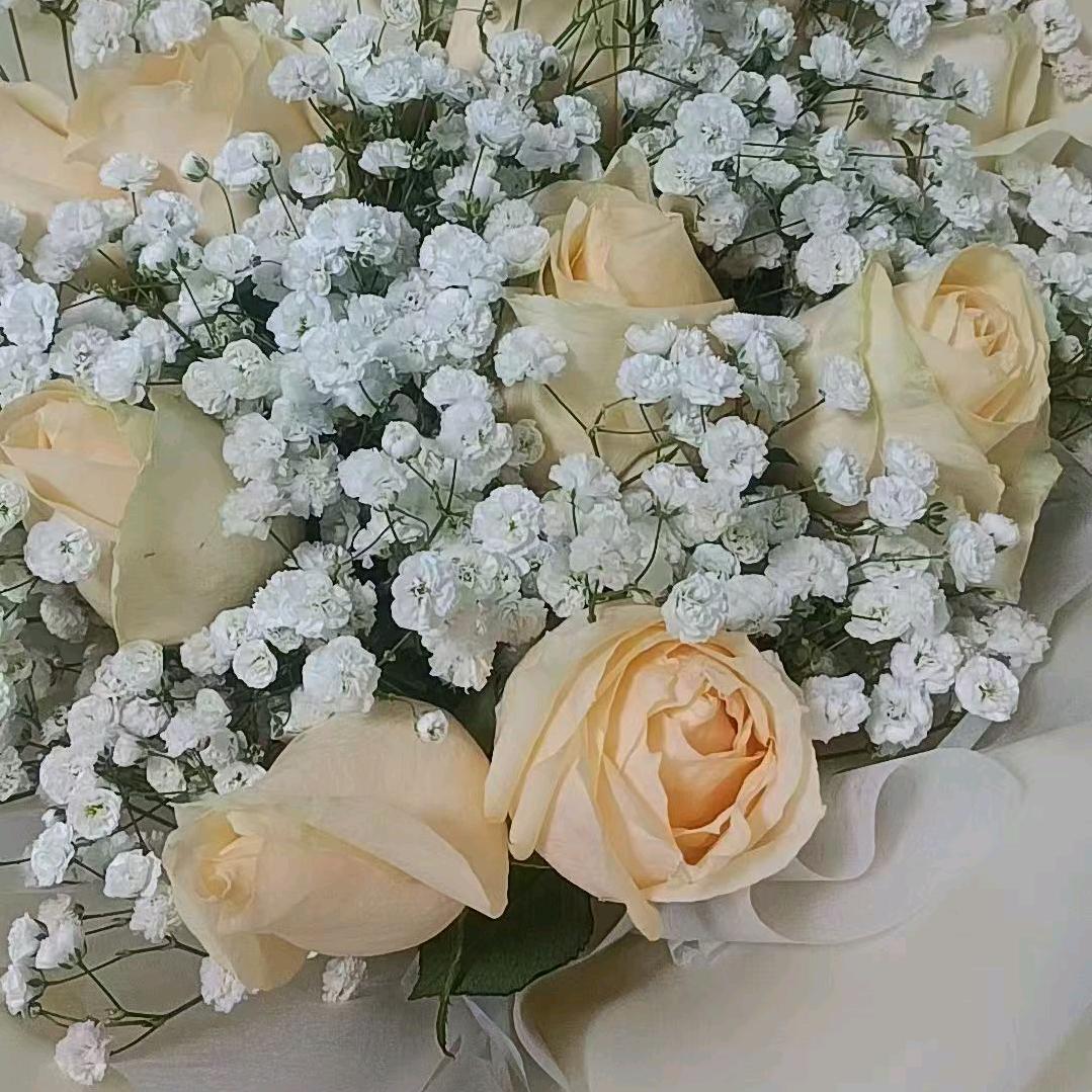 ℋღ᭄伊心🕊一意💞࿐