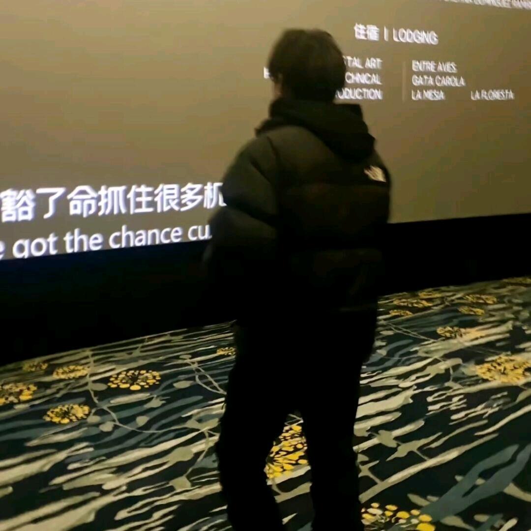 蛋蛋