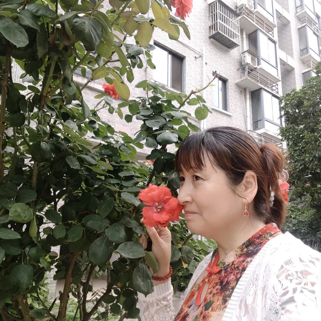 永远，，