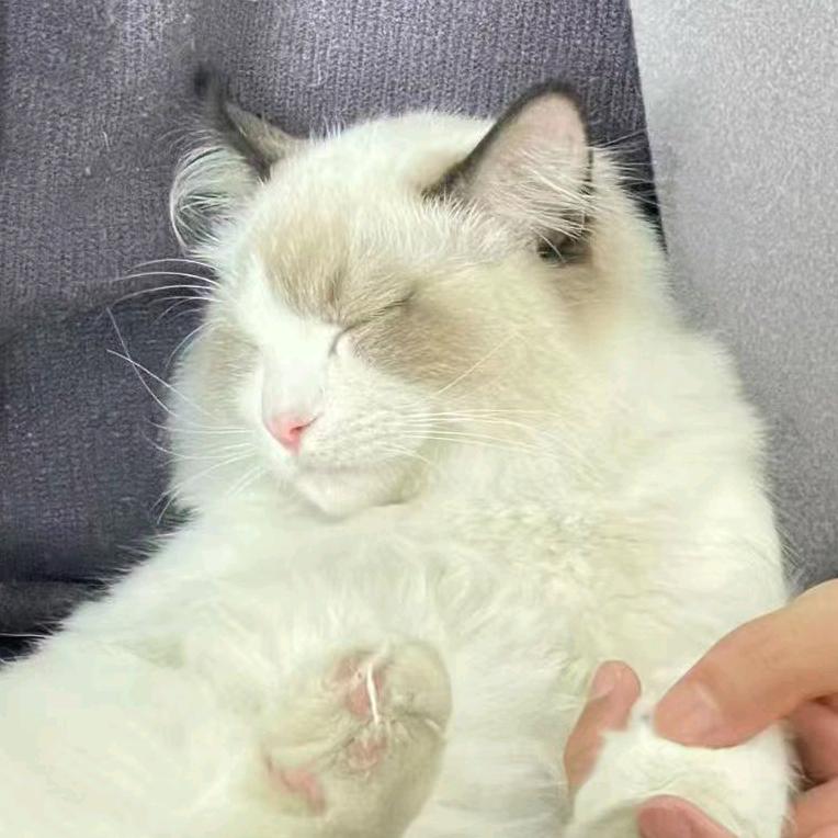 。